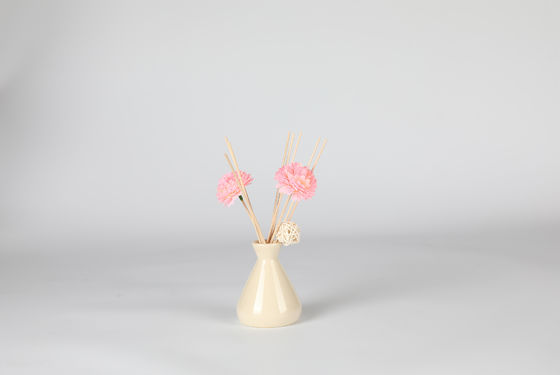 Reed Diffuser non tossico decorativo