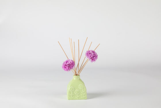 Fragranza domestica Reed Diffuser della bottiglia ceramica
