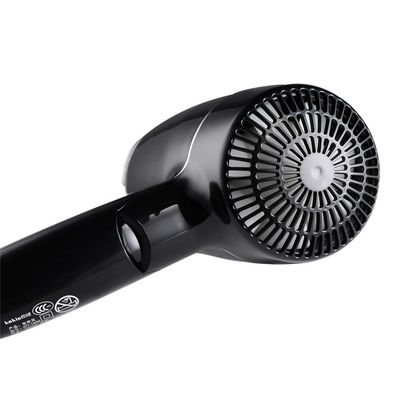 Essiccatore professionale leggero 1600W del colpo del motore H240mm di CC